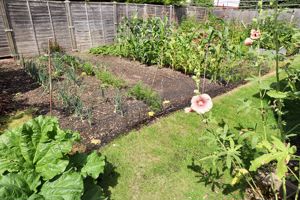 THORRINGTON ROAD- click for photo gallery